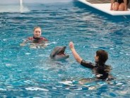 Delfines kaland 2. - Dolphin Tale 2.