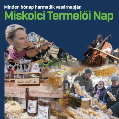   - Miskolci Termelői Nap 